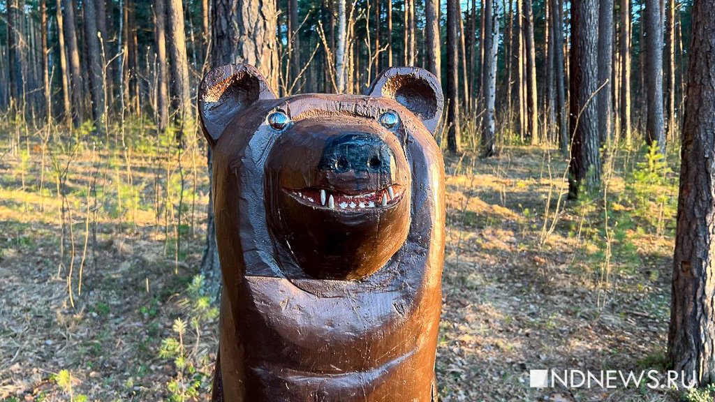 На Урале объявлен пожароопасный сезон. Ходить в лес пока можно
