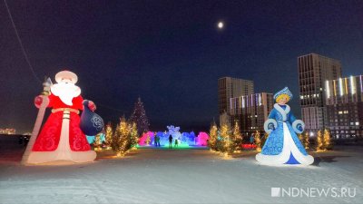 В Преображенском парке Академического открыли ледовый городок и зажгли живую ель (ФОТО, ВИДЕО)