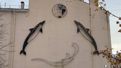 История одной PR-кампании: севастопольских дельфинов так и не нашли