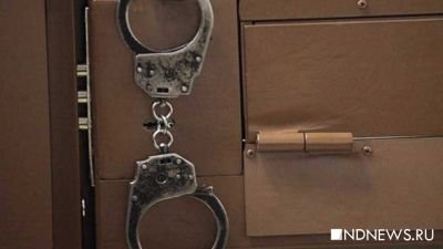 Суд сократил срок ареста главы армянской диаспоры до одних суток