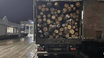 Молдавия получила дрова из Румынии в рамках пакета помощи