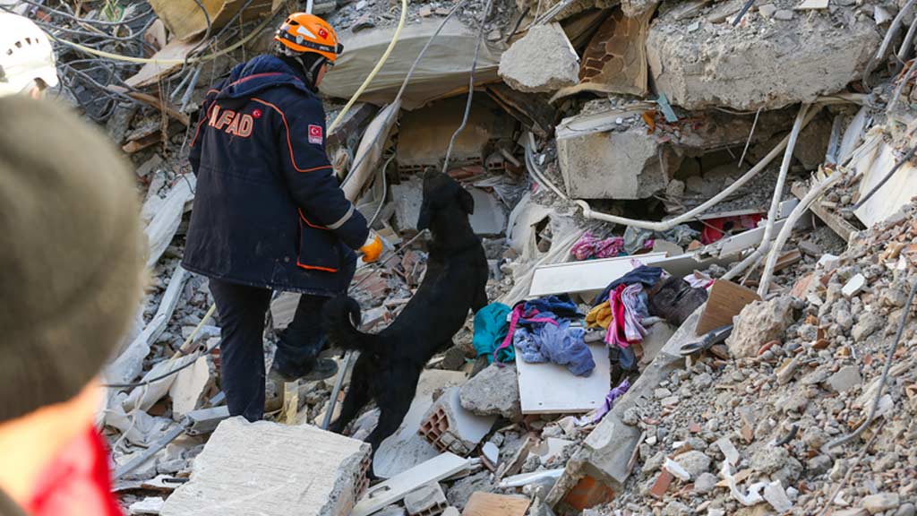 Количество погибших в результате землетрясений в Турции увеличилось до 5 894