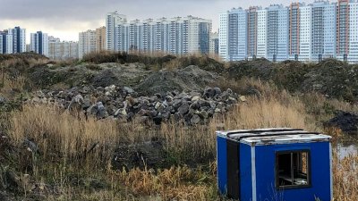 Экология Петербурга: поможет ли уход оператора сделать чище Угольную гавань?