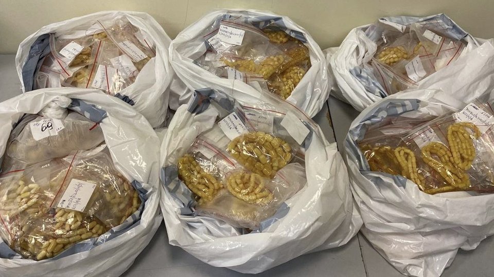 Шесть набитых янтарем пакетов обнаружили в Домодедово у вылетавшей в ОАЭ россиянки