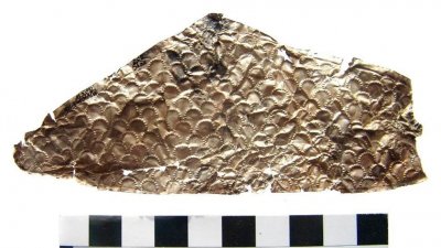 Южноуральцам покажут древнее золото, найденное в уральской степи