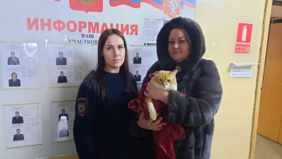 Полицейские из Режа забрали кота у блогера, которого подозревают в издевательствах над животным (ФОТО)