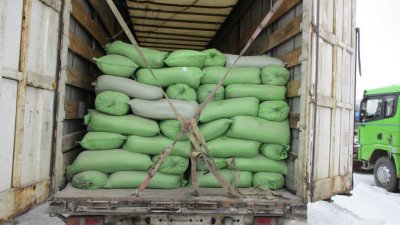 В Челябинскую область пытались ввезти 17 тонн насвая
