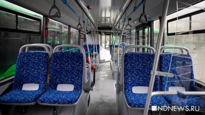 На перевозчика маршруток № 012 и 019 в Академическом наложат штраф за отсутствие автобусов на линии