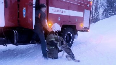 В Кушве пожарные вытащили собаку из заброшенного карьера