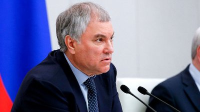 Володин опроверг слухи о ранении или гибели депутата ГД Делимханова