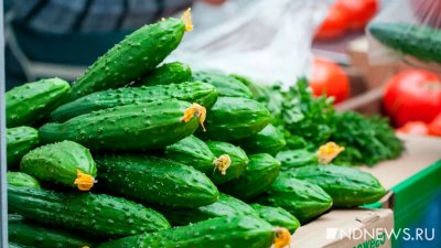 Немецкие журналисты удивились дешевым российским овощам на польских рынках