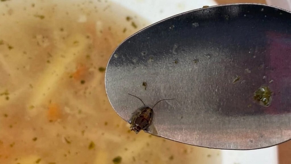 Прокуратура проверит школу, где в супе нашли таракана (ФОТО)