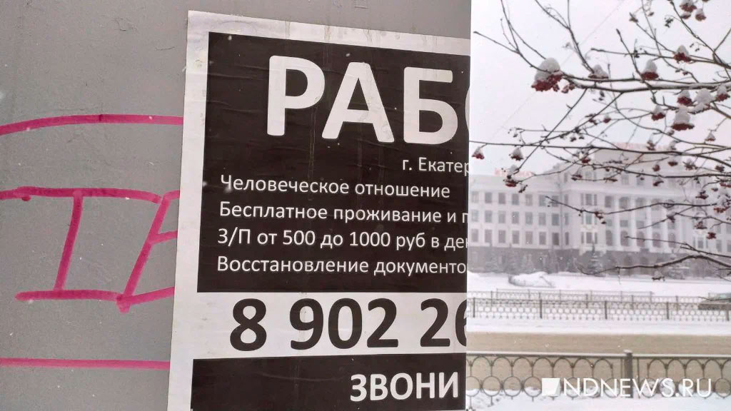 Число трудовых мигрантов среди россиян упало до минимума с 2015 года