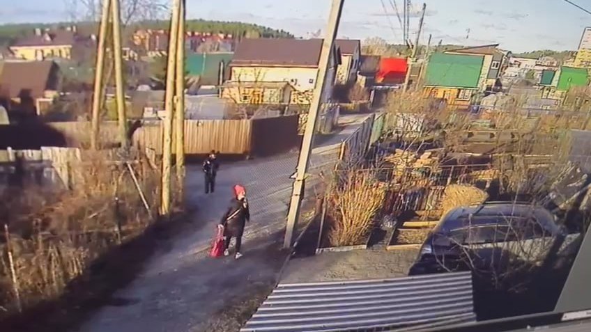 В Березовском зооволонтер заплатит тому, кто сообщит о людях, подкинувших к ее дому пакет со щенками (ВИДЕО)