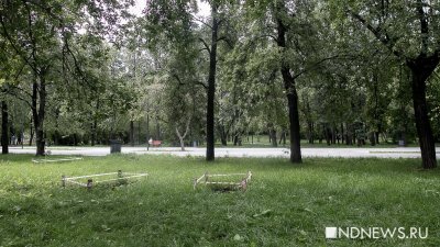 Уральцы смогут проголосовать за проекты благоустройства парков до 31 мая