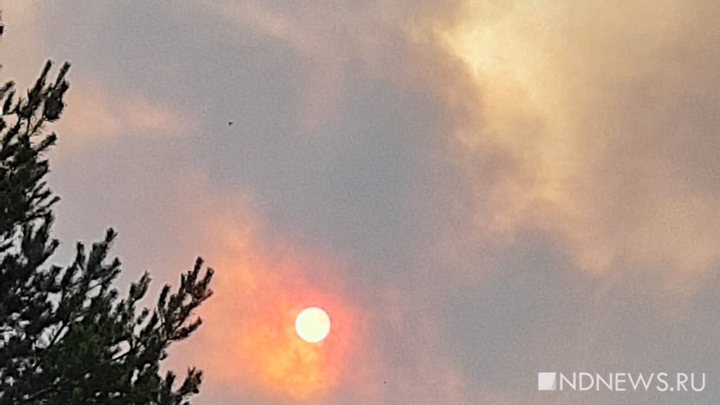 Жители поселка под Режом жалуются на дым от пожаров: «Небо все затянуто, дышать тяжело» (ФОТО, ВИДЕО)