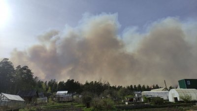 Росавиалесохрана назвала ситуацию с пожарами в Свердловской области чрезвычайной