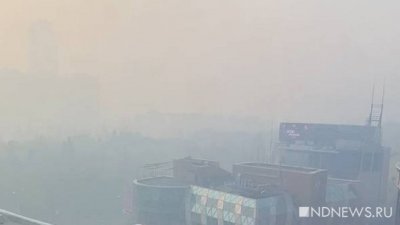 Роспотребнадзор проверил качество воздуха в Екатеринбурге и признал его соответствующим нормам