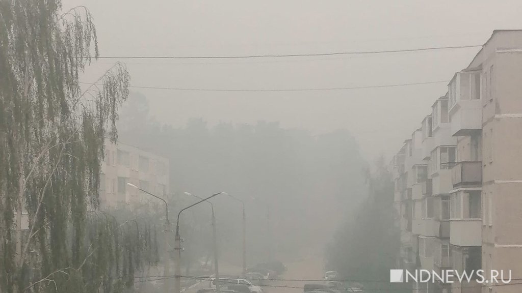 Новый День: Реж уже неделю в дыму: теперь горит лес рядом с поселком Костоусово (ФОТО)