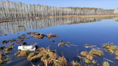 В Красноярском крае иномарка слетела с дороги в пруд – погибли пять человек (ФОТО)