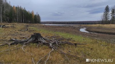 На Урале мелеют водохранилища – некоторые высохли уже наполовину (ФОТО)