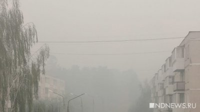 Реж уже неделю в дыму: теперь горит лес рядом с поселком Костоусово (ФОТО)