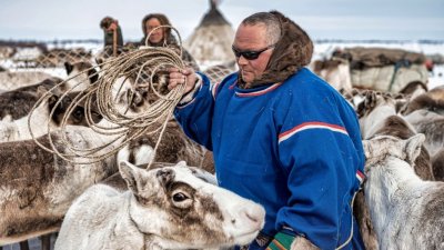 На Ямале потратят 900 тыс. рублей на опрос аборигенов об их проблемах