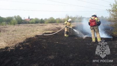 За сутки в Свердловской области потушили 14 лесных пожаров