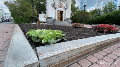 В цветниках Екатеринбурга весенние растения меняют на летние (ФОТО)