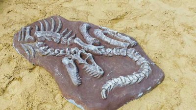 Юные челябинцы смогут откопать динозавра