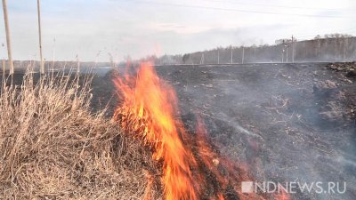 В результате артобстрелов украинскими неонацистами в Херсонской области загорелись леса