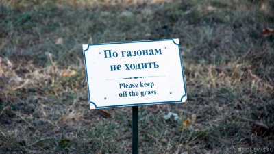 В популярном парке Ялты сгорели газоны и молодые деревья