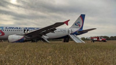 «Уральские авиалинии» выплатили по 100 тысяч рублей 128 пассажирам рейса, севшего в поле