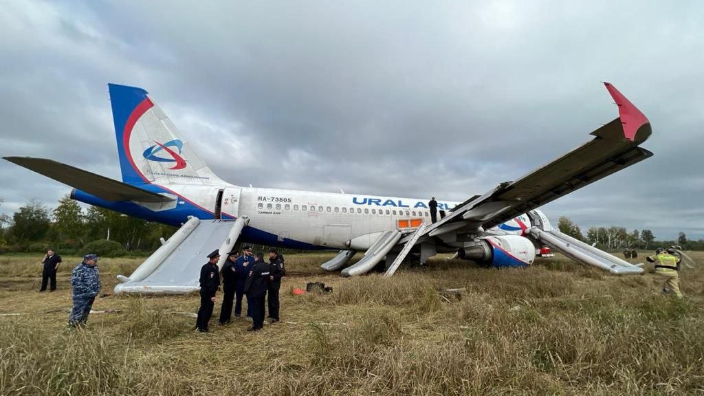 «Уральские авиалинии» выплатят пассажирам приземлившегося на поле самолета компенсации
