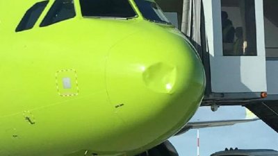 В Анадыре самолет со 157 пассажирами столкнулся с птицей