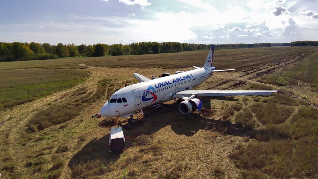 Самолет «Уральских авиалиний», севший в поле пшеницы, останется там на несколько месяцев