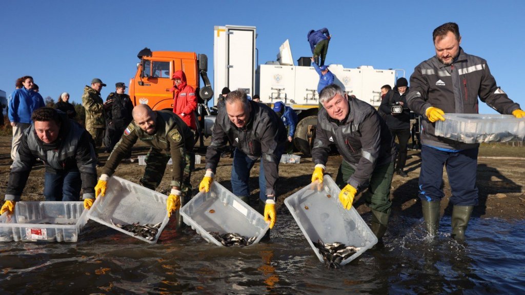 СУМЗ выпустил в Новомариинское водохранилище 10 тысяч сеголеток сазана