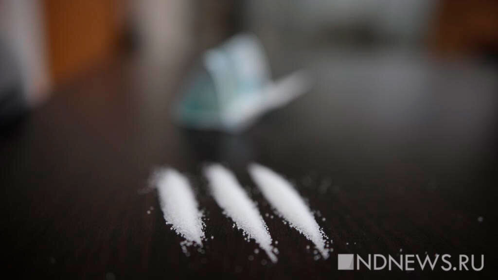 В Германии изъяли крупнейшую партию кокаина стоимостью в миллиарды долларов