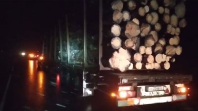 На тюменской трассе упавшее с лесовоза бревно убило водителя грузовика