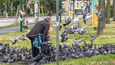 Игра в наперстки: на Украине затеяли пенсионную реформу
