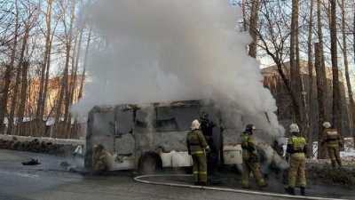 На Елизавете сгорел пассажирский автобус (ФОТО)