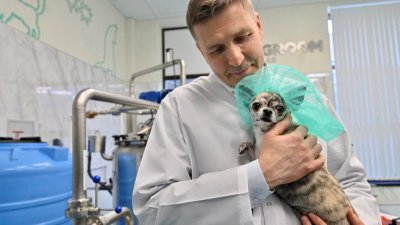 В Екатеринбурге открыли производство косметики для собак и кошек (ФОТО)