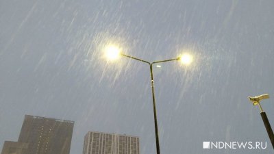 Снегопад в Екатеринбурге сменится дождем (ФОТО)