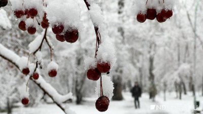 В Екатеринбург придут оттепель и сильные снегопады