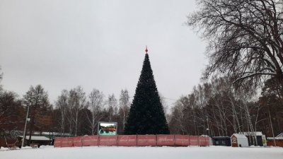 В парке Маяковского установили новогоднюю елку (ФОТО)