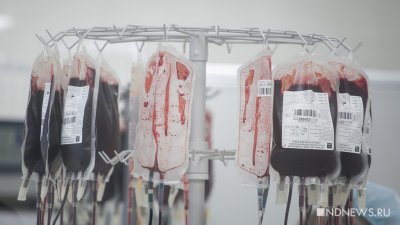 «Желающих сдать очень много», – в службе крови рассказали, почему не берут в доноры новичков