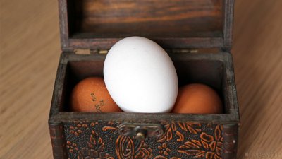 Крым стал лидером по росту цен на яйца