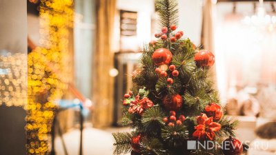Жительницу Бельгии насмерть придавило новогодней елкой