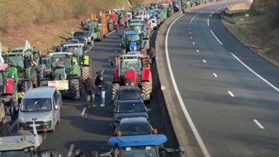 Европейские фермеры заблокировали бельгийско-нидерландскую границу