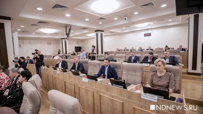 Екатеринбургская дума уточнит порядок схода горожан и займется вопросами аренды муниципальных активов